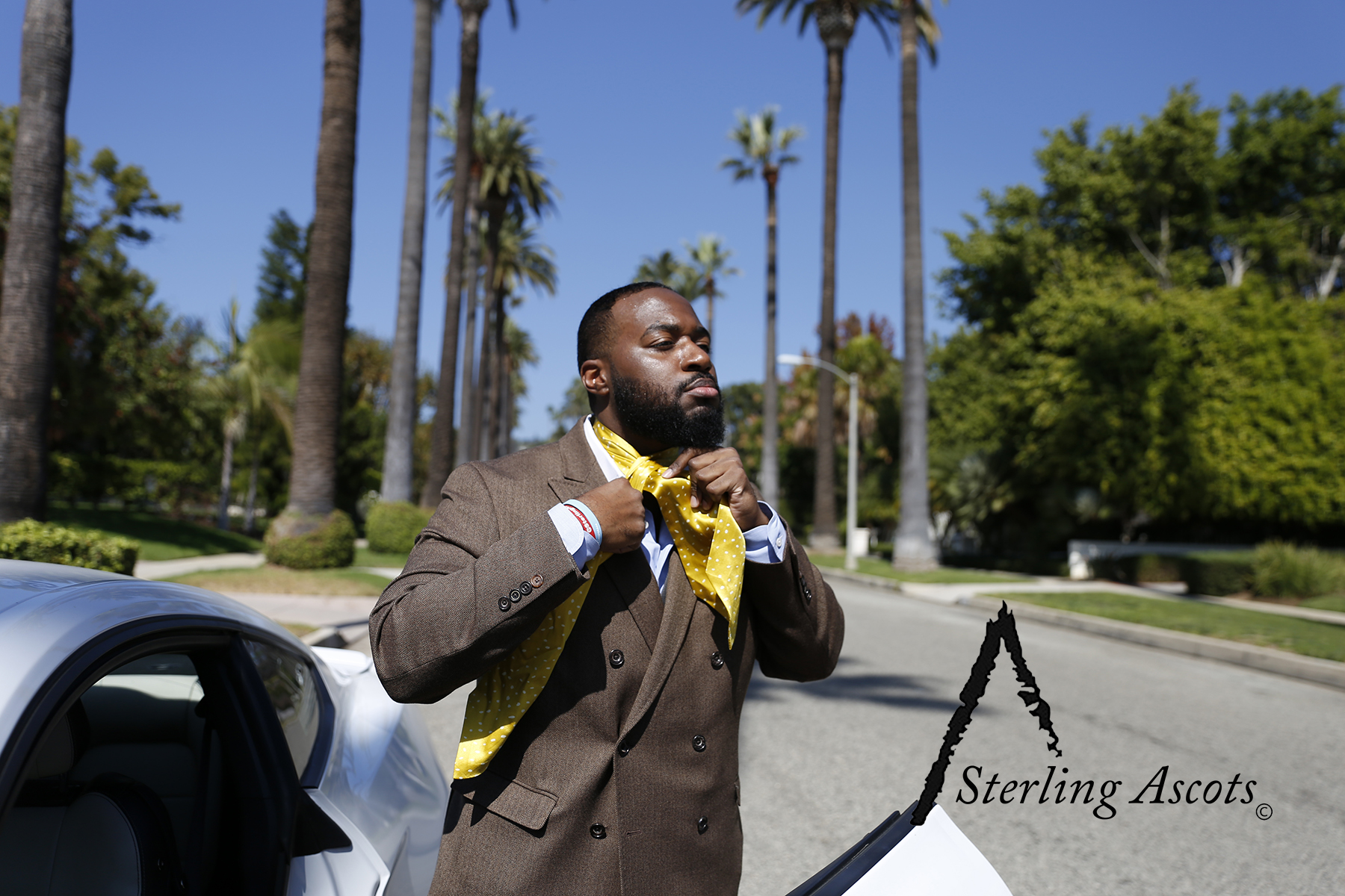 The Medallion Spec Sterling Ascot. This look is comprised of a silk yellow ascot, blue dress shirt, and a double breasted blazer. Shot in Beverly Hills, CA. Available only at SterlingAscots.com